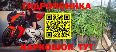 крисы Берёзовский