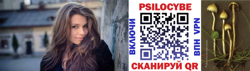 купить наркоту  Казань  Галлюциногенные грибы Psilocybine cubensis 
