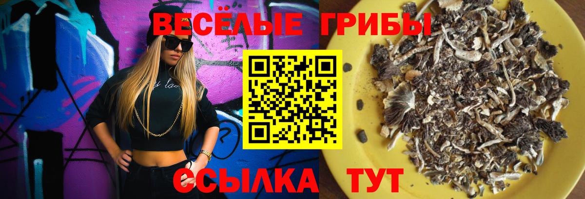 Галлюциногенные грибы MAGIC MUSHROOMS  Казань 