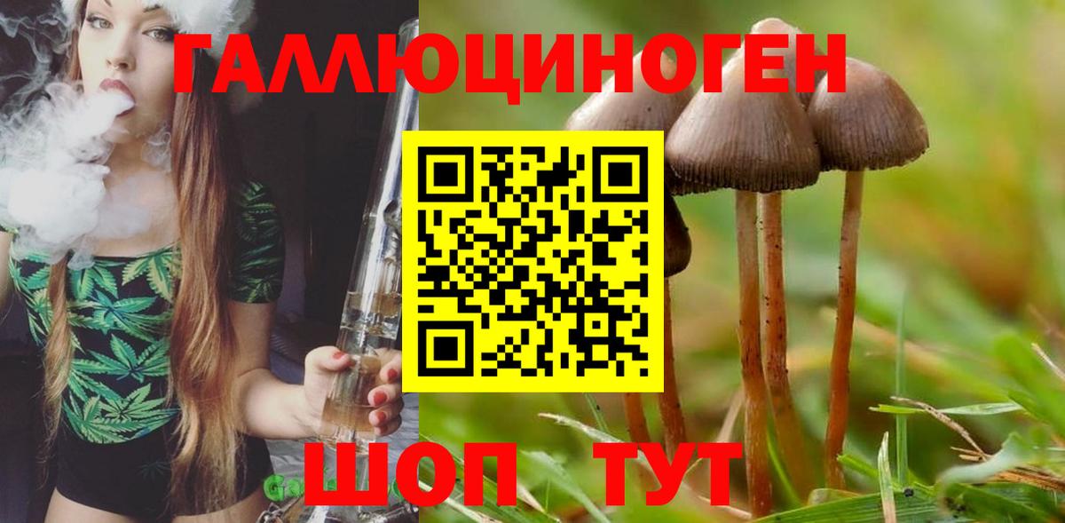 Канабис  МЕТ  A PVP СК   МЕТАДОН  Cocaine  МЕФ кристаллы  Казань  МДМА  ГАШ 