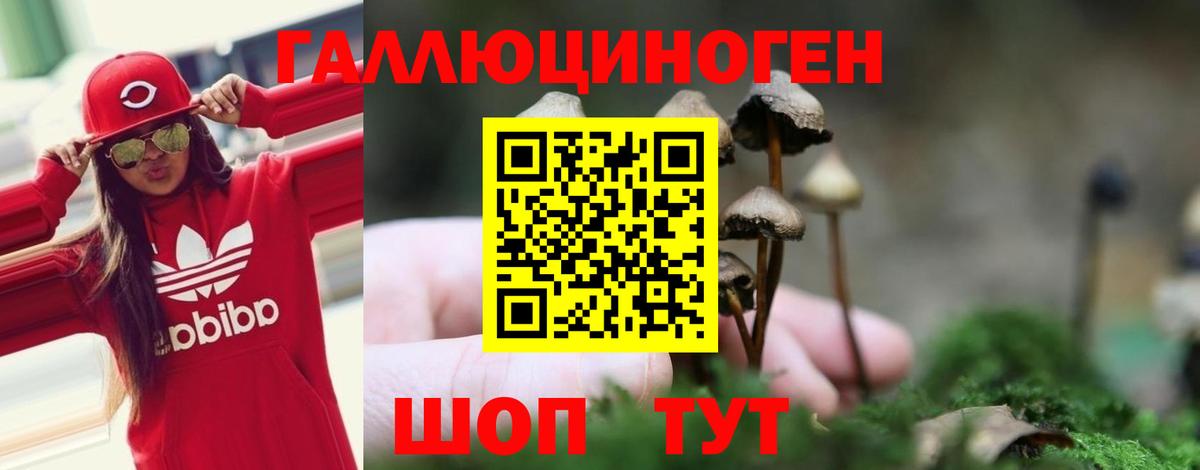 Галлюциногенные грибы MAGIC MUSHROOMS Казань